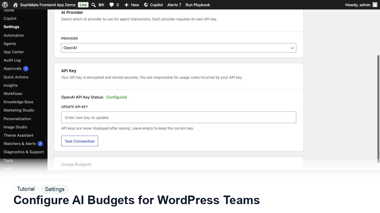 SophMate tutorial image for Configure AI Budgets for WordPress Teams showing the related wp-admin workflow context.