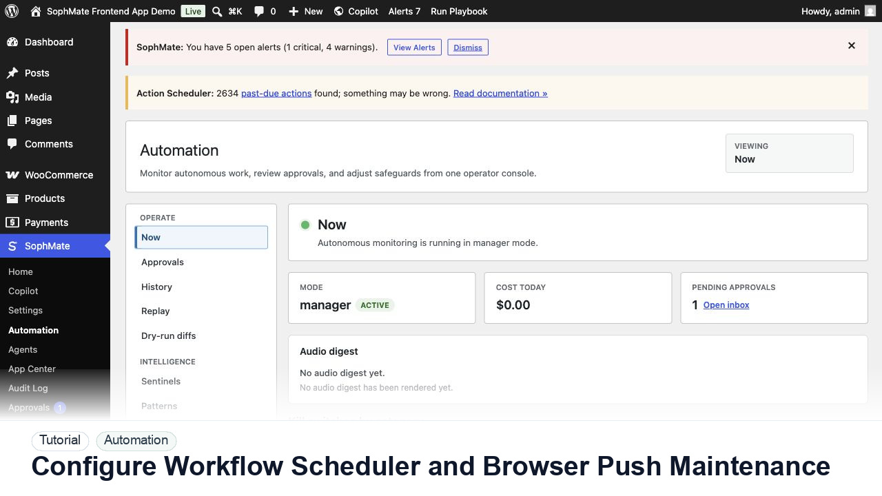 SophMate tutorial image for Configure Workflow Scheduler and Browser Push Maintenance showing the related wp-admin workflow context.