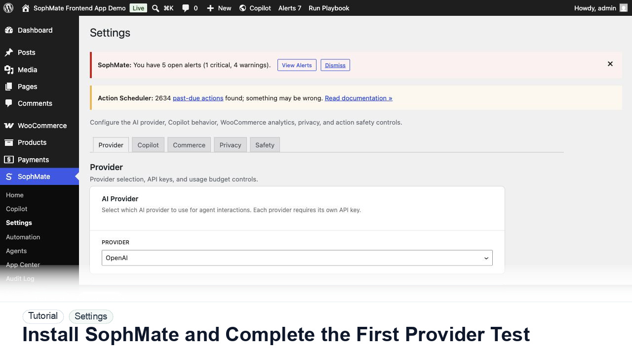 SophMate tutorial image for Install SophMate and Complete the First Provider Test showing the related wp-admin workflow context.