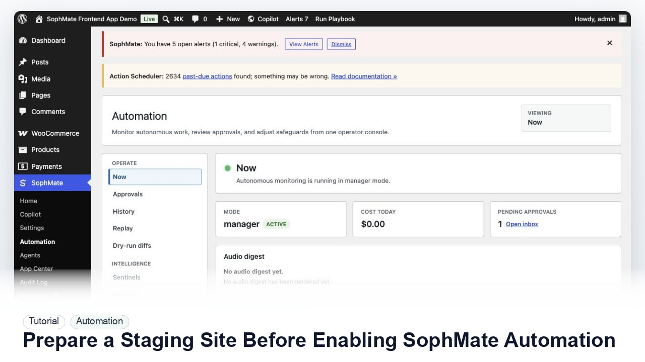 SophMate tutorial image for Prepare a Staging Site Before Enabling SophMate Workflows showing the related wp-admin workflow context.