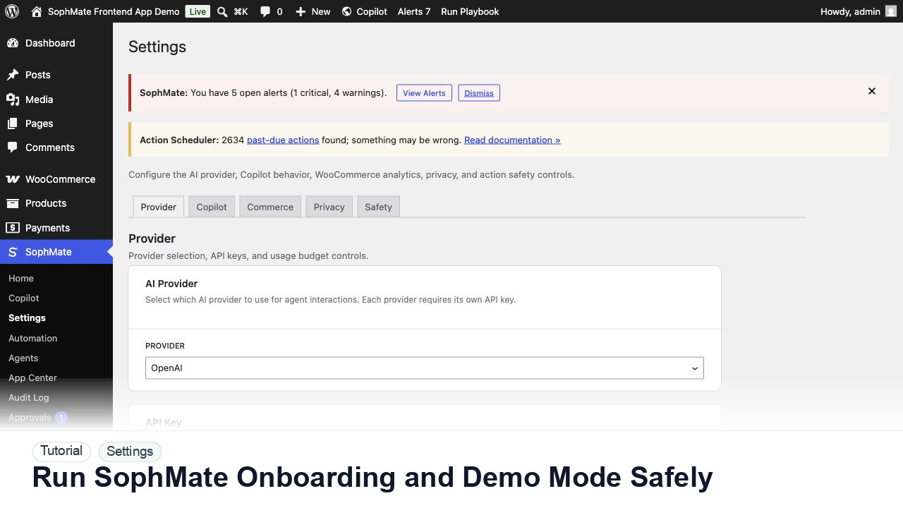 SophMate tutorial image for Run SophMate Onboarding and Demo Mode Safely showing the related wp-admin workflow context.