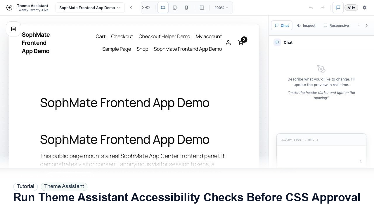 SophMate tutorial image for Run Theme Assistant Accessibility Checks Before CSS Approval showing the related wp-admin workflow context.