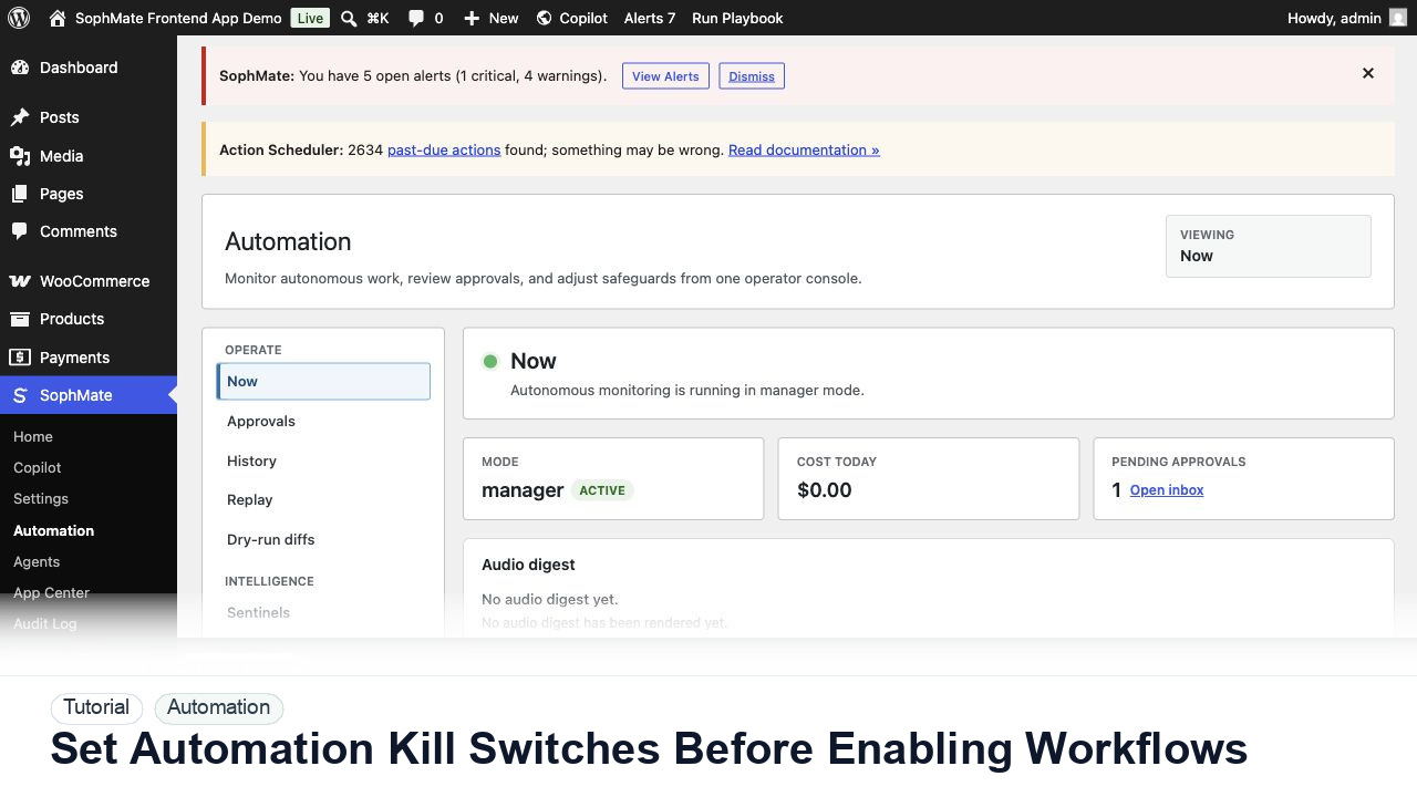 SophMate tutorial image for Set Workflow Kill Switches Before Enabling Workflows showing the related wp-admin workflow context.